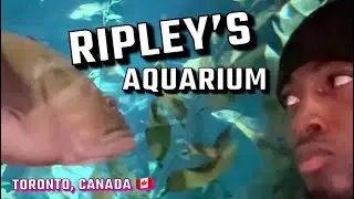 The BEST TOUR of the RIPLEY'S AQUARIUM OF CANADA