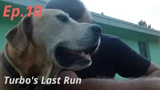 Turbo's Last Run