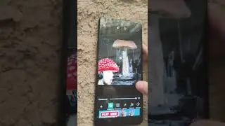 настоящий грибоед 😂