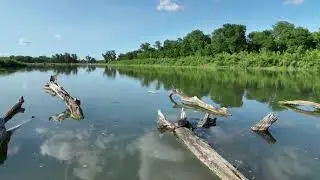 Nutria landing