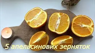 Артур Конан Дойл. Аудіо книга 