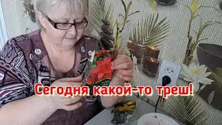 Сказать-то мне нонче и неча... только поесть на камеру в неограниченных количествах.