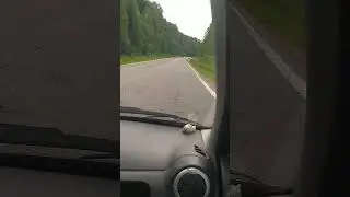 Аист.