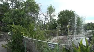 Парк Утопия в Израиле (39).MTS