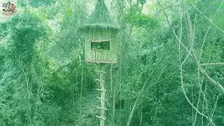 The Most Beautiful House On The Tree || On The Tree House || The Most Beautiful Villa On The Tree