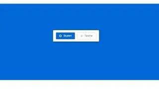 Custom Radio Buttons Using HTML CSS