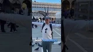 Nos atacaron las palomas!.. Y NO CREERÁS LO QUE PASÓ 🕊️😮‍💨