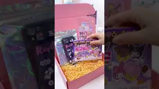 Sanrio Package 😍😍#sanrio