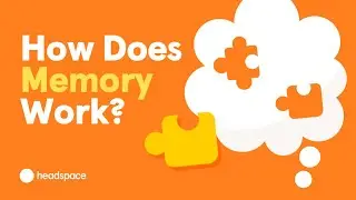How Does Memory Work? From A Neuroscience Researcher