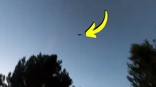 Chilling Out With Some Bats By Our Campfire