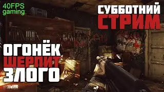 EFT - Умелые паровозят стримера)