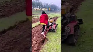 #farming #trending #trend #trendingshorts #best #tractor trac