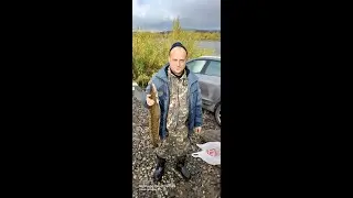 Рыбалка на Томи. Налим. Перемет.