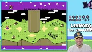 Linnaea Super Mario World Hack