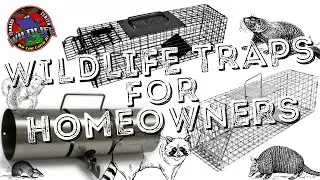 MUST-HAVE Traps for Every Homeowner | Wildlife Command Center