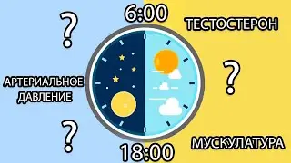 ЗНАЕТЕ ЛИ ВЫ, ЧТО ПРОИСХОДИТ С ВАШИМ ОРГАНИЗМОМ ЕЖЕЧАСНО?