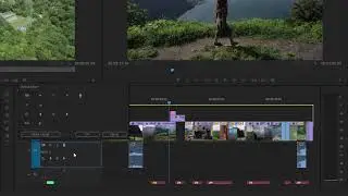 Adobe Premiere - Record a voice-over