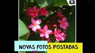 NOVAS FOTOS POSTADAS