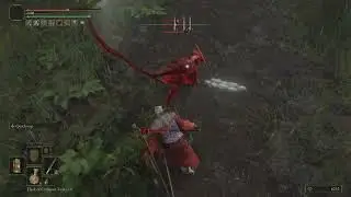 First Time Using Quickstep - Elden Ring PvP