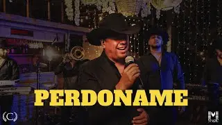 PERDONAME - PONZOÑA MUSICAL