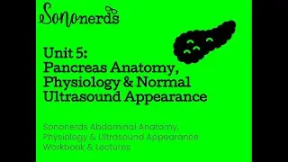 Pancreas :: Anatomy, Physiology & Ultrasound Appearance :: Abdominal Ultrasound with Sononerds