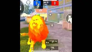 hhh)