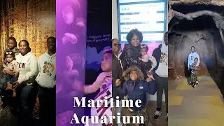 Maritime Aquarium Visit