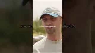Вписка. Зубарев про карантин в Китае. #зубарев #вписка #китай