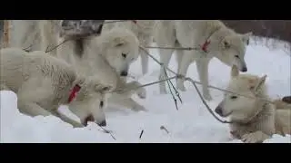 БЕРИНГИЯ-2024. КАК ЭТО БЫЛО: 1 НЕДЕЛЯ