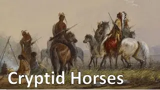 Are There Cryptid Horses in America?