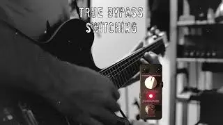Best Affordable Octave Pedal? Sonicake Octaver