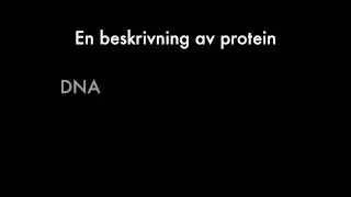 DNA (singback edition)