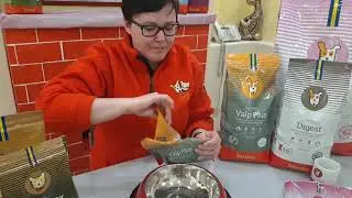 Чем лучше кормить щенков?