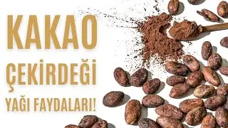 Kakao Çekirdeği Yağı Faydaları Nelerdir? 