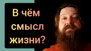 В чём смысл жизни? 