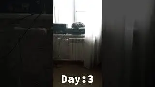 pov: cat Minecraft #minecraft #3d #realestate #comedy #trending