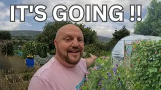 Change the garden in autumn for a successful spring