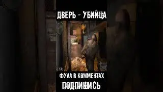 КАК БЕСПАЛЕВНО УБИТЬ КРОВОСОСОВ | S.T.A.L.K.E.R. | STALKER| 