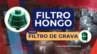 Revisión de Filtro Hongo (Elemento interno del filtro de grava)