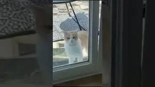 Зажигательные танцы