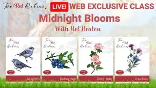 Midnight Blooms Launch