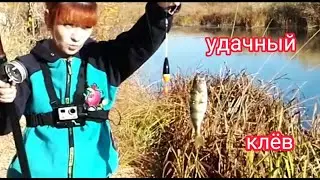 Разнорыбье в октябре на поплавок.