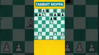Гамбит Морра и типовая ошибка черных, которая встречалась тысячи раз