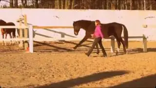 Natural Horsemanship in Ukraine.Anna and Unikum.