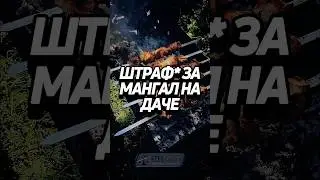 *Штраф за нарушение использования мангала ‼️ #забюрист #штраф #мангал #дача #безопасность