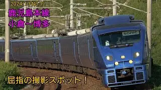 鹿児島本線の撮影名所！福岡県宗像市の列車走行 2024/9/29