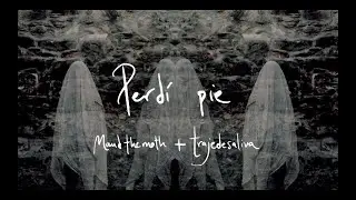 Maud the Moth + @trajedesaliva  - Perdí pie