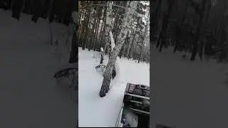 22 января 2024 г.