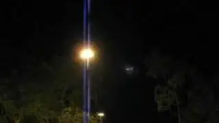 Birds at night at Perth Airport
