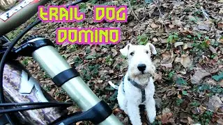 Domino the Trail Dog: Unleashing Fun on Our Local MTB Spot!